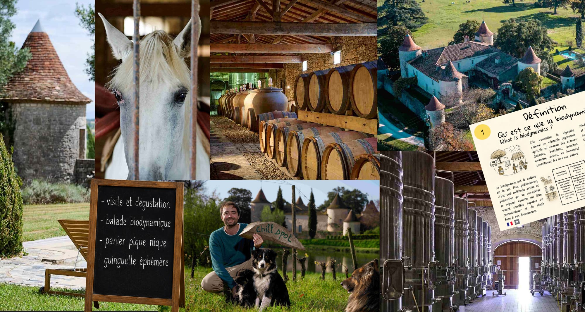 Œnotourisme au Château Couronneau