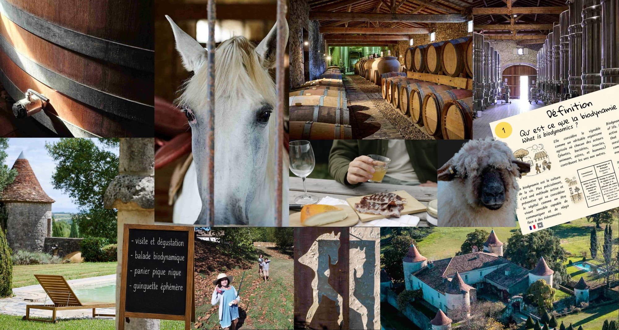 Wine tourism at Château Couronneau