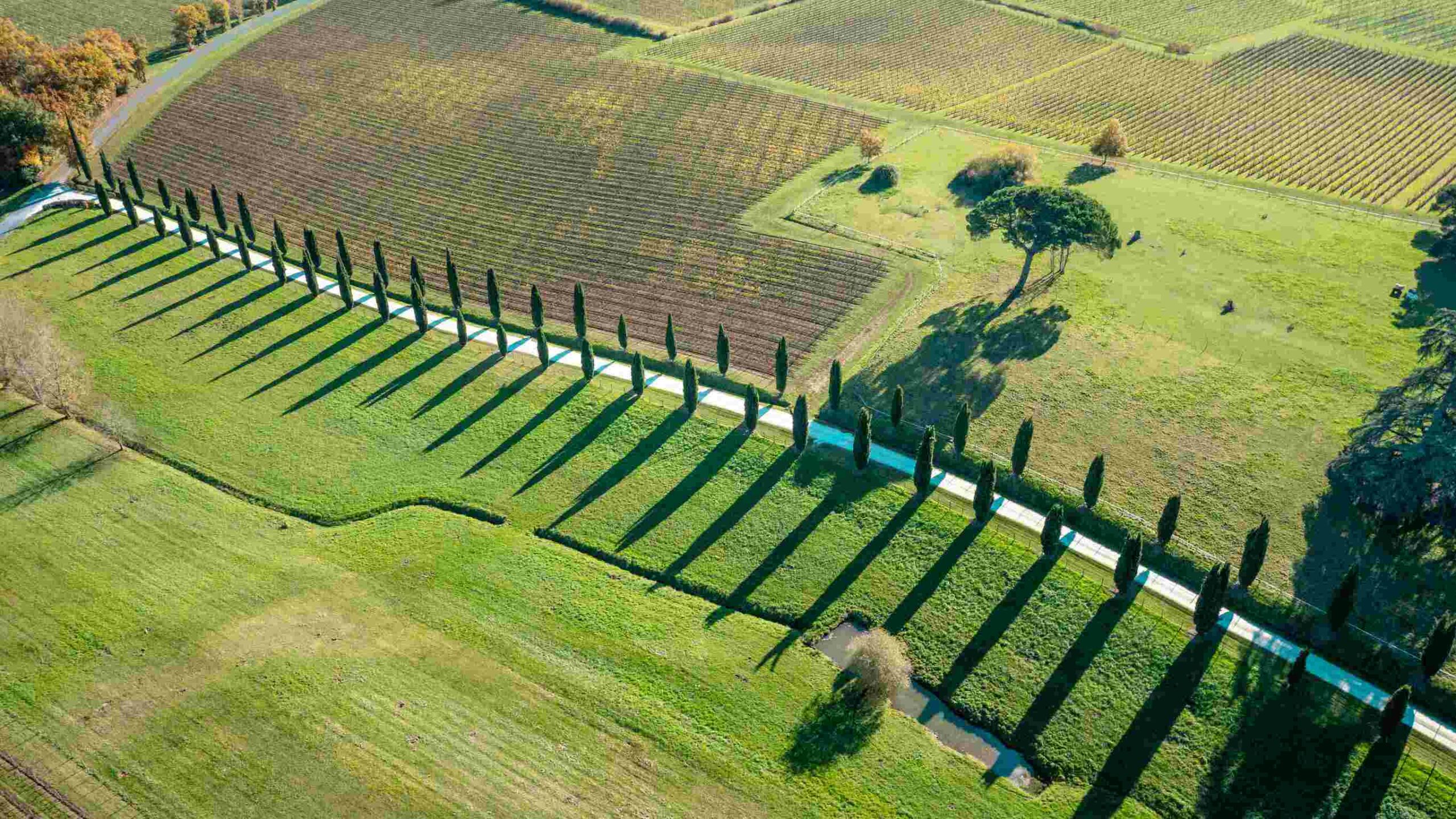 Château Couronneau – lieu de mariage en Gironde